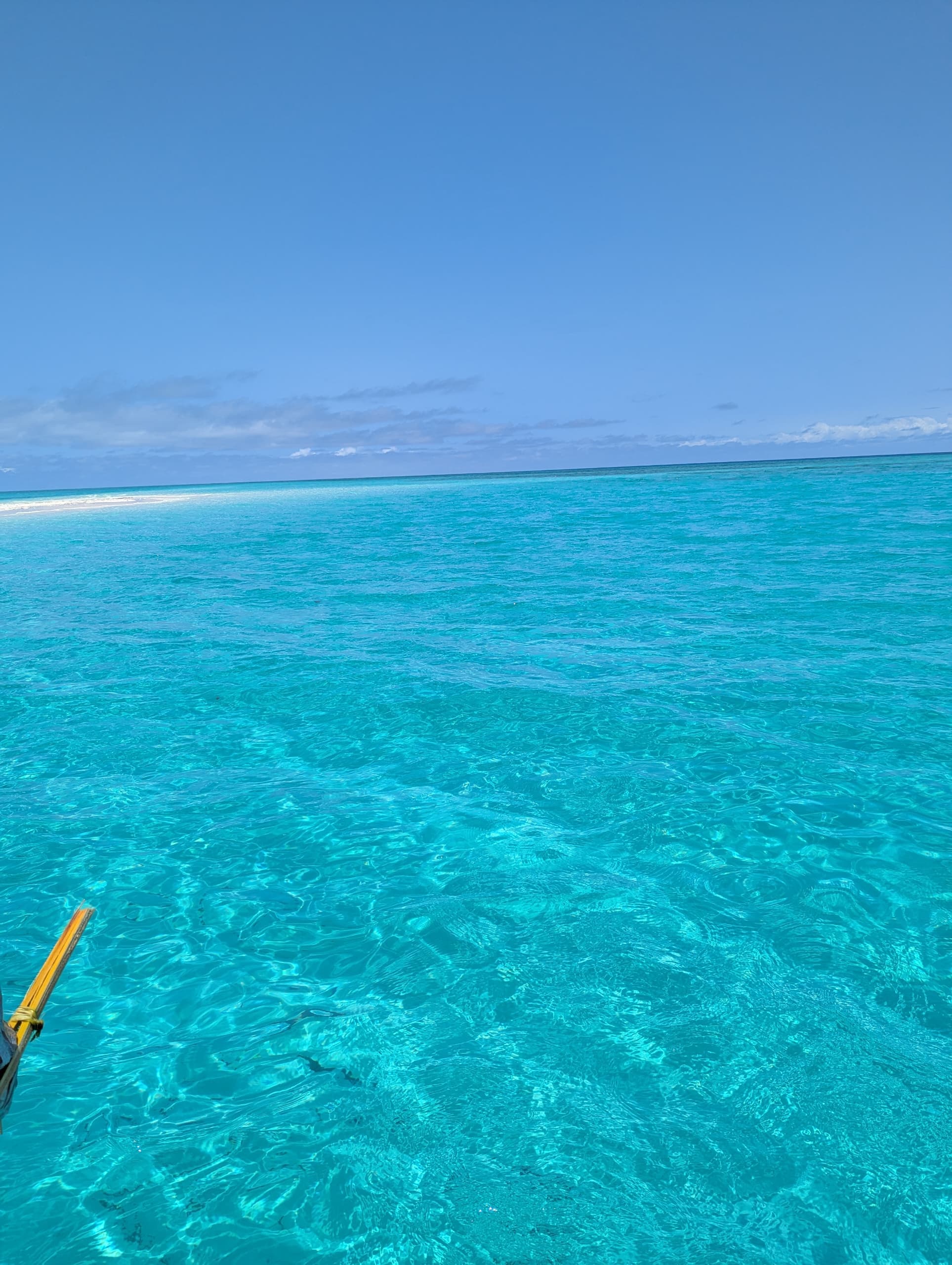 Mafia Island vs Zanzibar: Which Tanzanian Island Should You Visit?