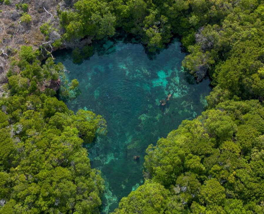 blue lagoon at mafia island